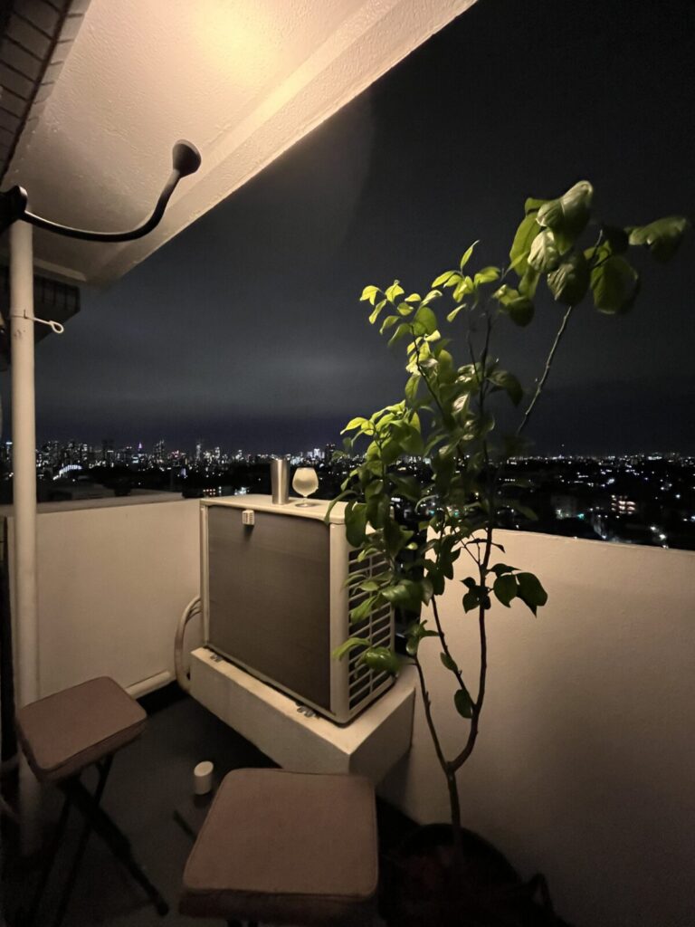 中庭コートハウスを間取りに選んだ理由 ルーツ　原点回帰 築54年賃貸マンションリビングから繋がるベランダからの風景昼 夜